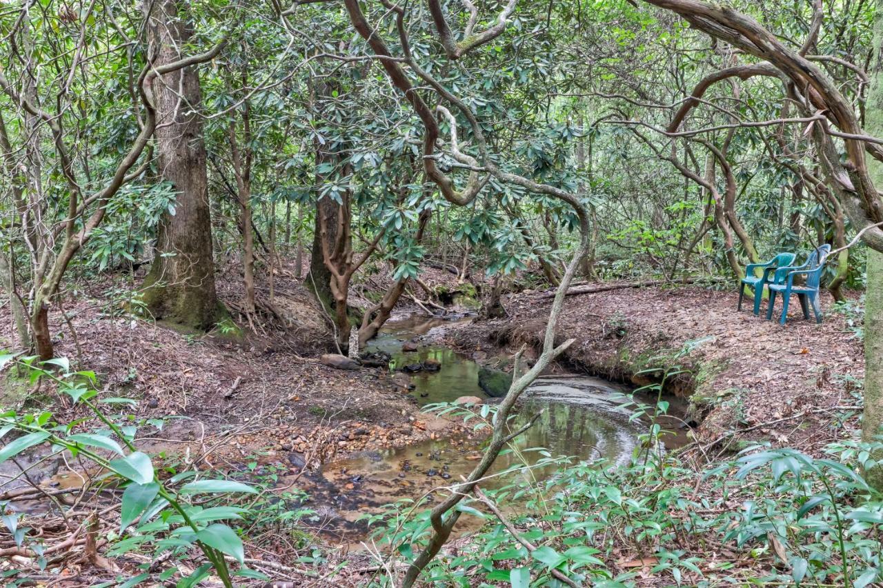 Four Cubs In The Creek Villa Sautee Nacoochee Luaran gambar