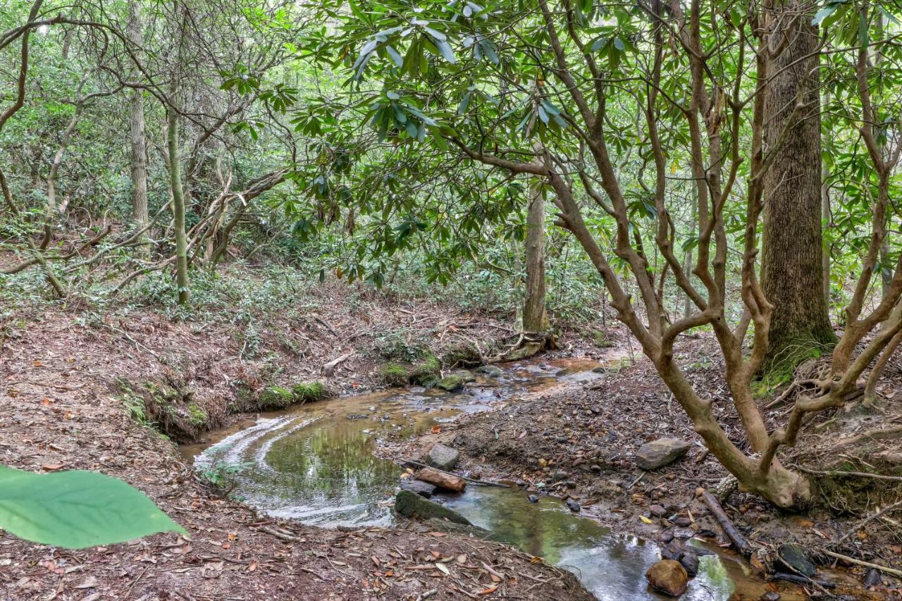 Four Cubs In The Creek Villa Sautee Nacoochee Luaran gambar